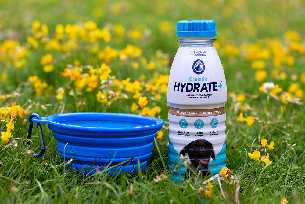 Oralade®