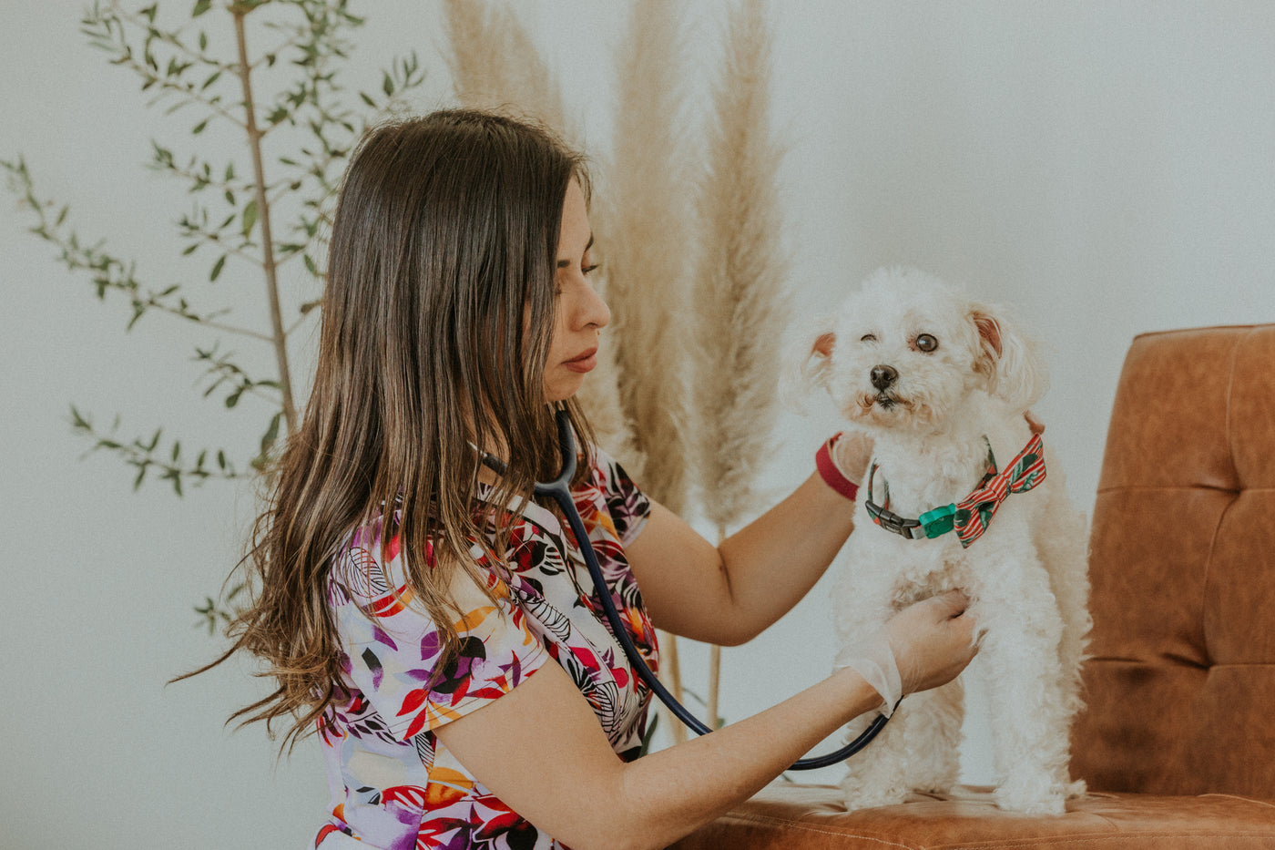 CONSULTA VETERINARIA A DOMICILIO